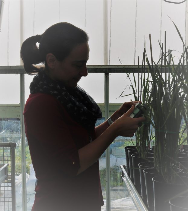 Elizabete Carmo-Silva working in the greenhouse