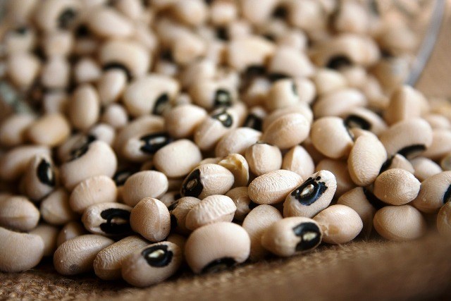 Cowpea seeds